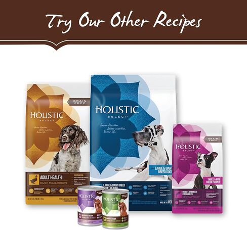 Holistic Select Natural Grain Free Dry Dog Food, Deboned Turkey & Lentils Recipe, 12-Pound Bag in Kuwait