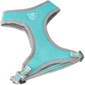 HUGO & HUDSON Dog Harness No-Pull Pet Harness Adjustable Quick Dry Mesh Padded Vest, Aqua, XS