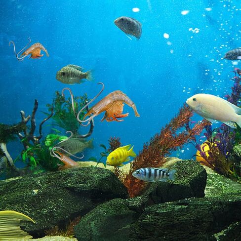 2 قطعة تمثال جراد البحر الجمبري الاصطناعي محاكاة جراد البحر نموذج الجمبري وهمية الشكل لشاطئ البحر ديكور المنزل حفلة عيد ميلاد in Kuwait