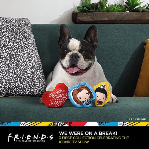 WB Friends: 6" You're Better Together Frame Plush Squeaker Dog Toy | 6" Friends Plush Peephole Squeaker Pet Toy | Friends Show Toy for Dogs Stuffed Animal 6 inch, FF21172 in Kuwait