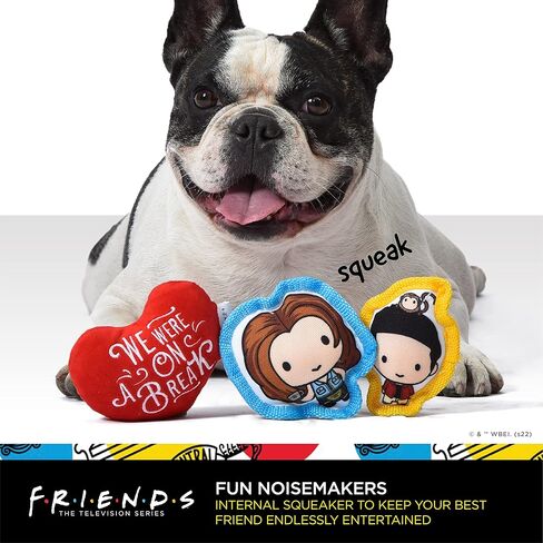WB Friends: 6" You're Better Together Frame Plush Squeaker Dog Toy | 6" Friends Plush Peephole Squeaker Pet Toy | Friends Show Toy for Dogs Stuffed Animal 6 inch, FF21172 in Kuwait