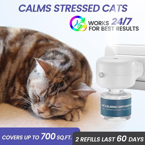 مجموعة موزع الفرمون المهدئ للقطط من أمرينس: 1 موزع و2 عبوات للاستخدام لمدة 60 يومًا، للمساعدة في تقليل التبول والمنطقة الجديدة والعدوان والقتال مع الكلاب والسلوكيات الأخرى in Kuwait
