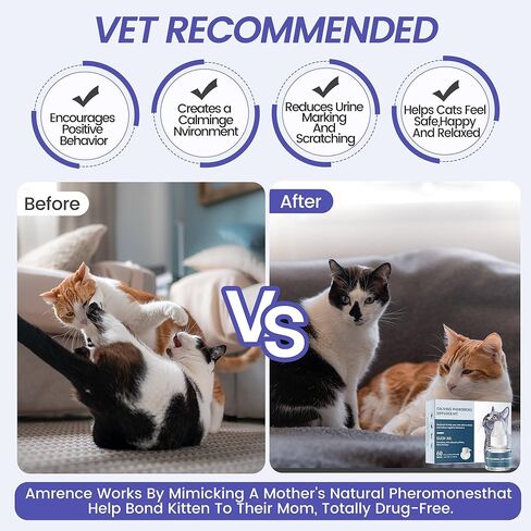 مجموعة موزع الفرمون المهدئ للقطط من أمرينس: 1 موزع و2 عبوات للاستخدام لمدة 60 يومًا، للمساعدة في تقليل التبول والمنطقة الجديدة والعدوان والقتال مع الكلاب والسلوكيات الأخرى in Kuwait