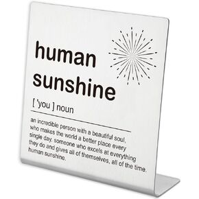 I Match Energies Desk Décor for Home Office, Funny Office Quotes Desk Decor for Women, Work Cubicle Decor for Women Coworker Sister, Cute Office Decor for Friend Coworkers Desk Gifts-TZCC01 in Kuwait