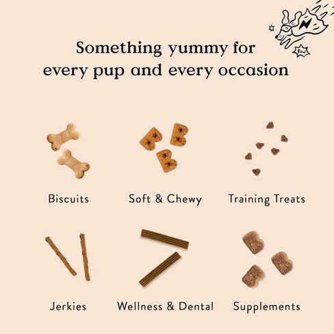 مخبز Bocce طبيعي بالكامل، دفعة صغيرة، مكافآت عضوية للكلاب، بسكويت Wild 'Berry Biscotti، خالي من القمح، مكونات محدودة، صنع في الولايات المتحدة الأمريكية مع عبوة قابلة لإعادة التدوير بنسبة 100%، كيس 12 أونصة (DG-BC-WBB) in Kuwait