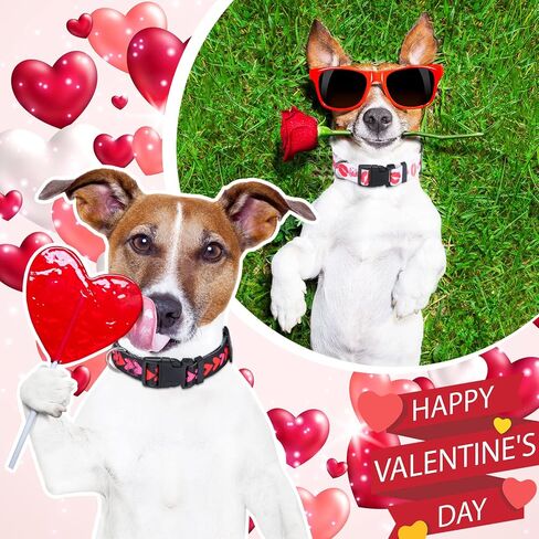 6 Pack Valentine's Day Dog Collar Puppy Collars for Small Medium Large Dogs Adjustable Puppy Dog Collar Male Female Basic Dog Collars Soft Comfy Cat Collar with Plastic Buckle (Large) in Saudi Arabia