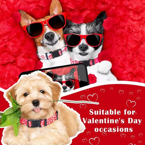 6 Pack Valentine's Day Dog Collar Puppy Collars for Small Medium Large Dogs Adjustable Puppy Dog Collar Male Female Basic Dog Collars Soft Comfy Cat Collar with Plastic Buckle (Large) in Saudi Arabia
