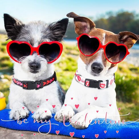 6 Pack Valentine's Day Dog Collar Puppy Collars for Small Medium Large Dogs Adjustable Puppy Dog Collar Male Female Basic Dog Collars Soft Comfy Cat Collar with Plastic Buckle (Large) in Saudi Arabia