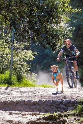 RC Pet Products Momentum Dog Harness, Small, Black in Kuwait