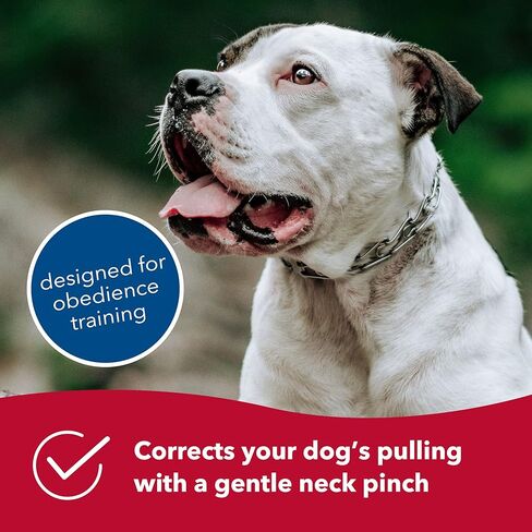 Herm Sprenger HS Germany Coastal Pet Products 00051 G2212 Sprenger Slip On Pinch-Prong Dog Training Collar Silver, 2.5Mm/12 in (00051 G2214) in Saudi Arabia