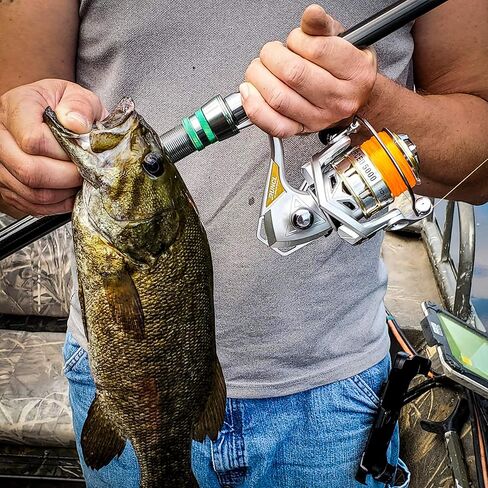 RUNCL بكرة صيد دوارة ميرسيد، بكرة دوارة - محامل كروية 10+1 HPCR، نظام سحب متعدد الأقراص، إدارة خط CNC، تشغيل سلس، بكرة جاهزة للتضفير - بكرة صيد خفيفة الوزن in Kuwait