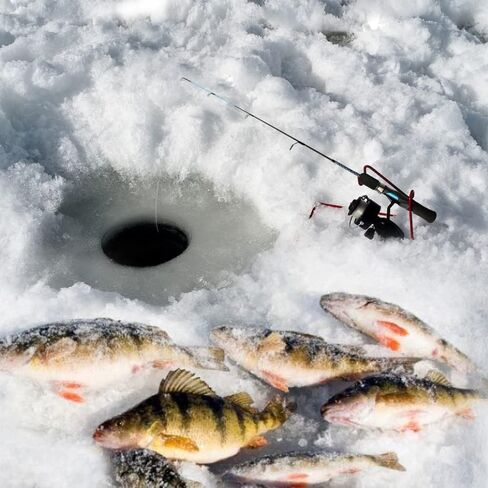 MASTER LOGIC Ice Fishing Rod, Sensitive Ice Spinning Rod, 28"/30" Ice Fishing Pole Medium Heavy in Kuwait