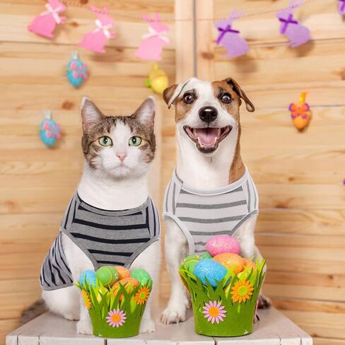 قطعتان من قمصان الكلاب، ملابس مخططة للجرو الحيوانات الأليفة، تي شيرت رائع للكلاب الصغيرة والمتوسطة والكبيرة من الذكور والقطط والكلاب، ملابس قطط ناعمة قابلة للتنفس لصور حفلات أعياد الميلاد والهالوين وعيد الشكر in Kuwait