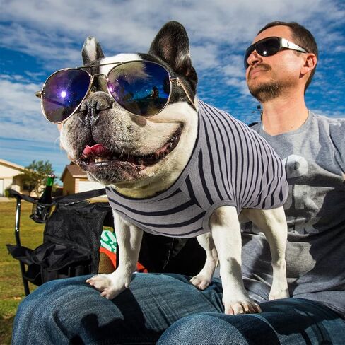 قطعتان من قمصان الكلاب، ملابس مخططة للجرو الحيوانات الأليفة، تي شيرت رائع للكلاب الصغيرة والمتوسطة والكبيرة من الذكور والقطط والكلاب، ملابس قطط ناعمة قابلة للتنفس لصور حفلات أعياد الميلاد والهالوين وعيد الشكر in Kuwait