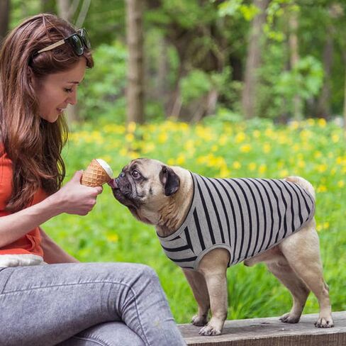 قطعتان من قمصان الكلاب، ملابس مخططة للجرو الحيوانات الأليفة، تي شيرت رائع للكلاب الصغيرة والمتوسطة والكبيرة من الذكور والقطط والكلاب، ملابس قطط ناعمة قابلة للتنفس لصور حفلات أعياد الميلاد والهالوين وعيد الشكر in Kuwait