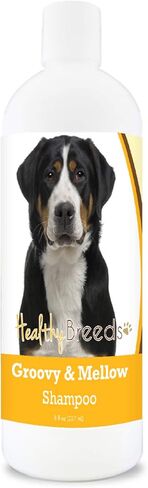 Healthy Breeds Havanese Groovy & Mellow Shampoo 8 oz in Saudi Arabia