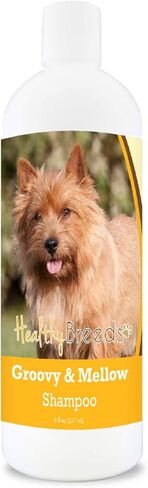 Healthy Breeds Havanese Groovy & Mellow Shampoo 8 oz in Saudi Arabia