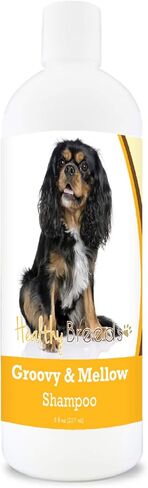 Healthy Breeds Havanese Groovy & Mellow Shampoo 8 oz in Saudi Arabia