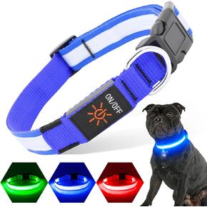 PZRLit LED Light Up Dog Collars Micro USB Rechargeable Waterproof, Full Adjustable Lighted Glow Dark Dog Collar Light for Night Walking for Small Medium Large Dogs, Green
