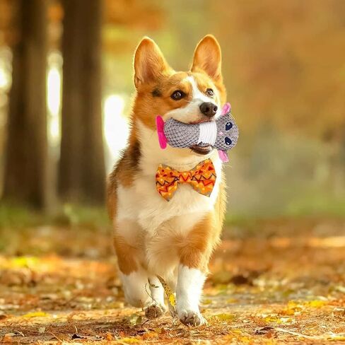 KuddelMuddel Squeaky Crinkle Dog Plush Toy, No Stuffing Cute and Ugly Alien with Durable Latex Filler, Interactive Fun Fetch Chew and Play Toy for Puppy Small Medium and Large Breed in Kuwait