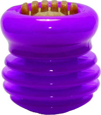 Triple Crown DTC00126 Everlasting Groovy Ball, Medium in Saudi Arabia