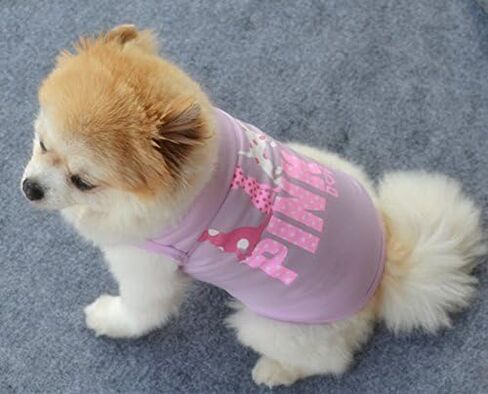 Dog Shirts Pet Shirts Dog T-Shirt Puppy Dog T Shirt Dog Vest Puppy Vest Pet Clothing Puppies Clothes for Small Dogs Doggie Tee Summer Apparel Female Dog Shirt Beach Wear¡­ (Large, Light Purple) in Kuwait
