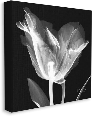 لوحة فنية جدارية من القماش من شركة Stupell Industries Tulip Flower X-Ray من تصميم Albert Koetsier in Saudi Arabia
