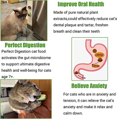 Organic Avocado Cat Toy, Cat Deligth and Play Enchantment, Ideal for Your Pet's Oral Healt in Saudi Arabia