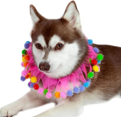 Midlee Pink Birthday Pom Pom Dog Collar (X-Large) in Saudi Arabia