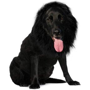 Funny Dog Costume, Lion Mane Wig for Dog Halloween Christmas Dress Up (Color: Light Blown, Size: Large) in Kuwait