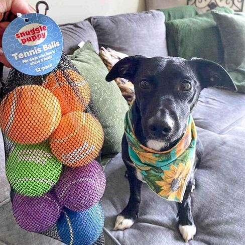Snuggle Puppy Tennis Balls for Dogs - Interactive 2.5" Tennis Balls for Medium to Large Dogs - No Squeak Tennis Balls with Reusable Mesh Bag in Kuwait