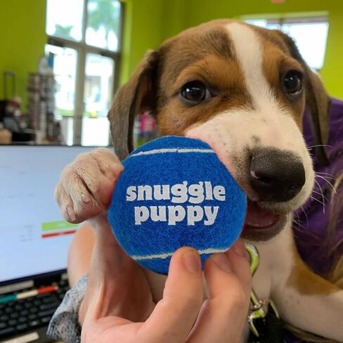 Snuggle Puppy Tennis Balls for Dogs - Interactive 2.5" Tennis Balls for Medium to Large Dogs - No Squeak Tennis Balls with Reusable Mesh Bag in Kuwait