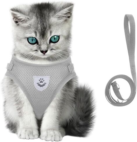 meioro خطوة في تسخير الكلب للكلاب الصغيرة والمقود مجموعة، قابل للتعديل لا سحب الكلب تسخير عاكس لينة شبكة جرو تسخير تنفس خفيفة الوزن الحيوانات الأليفة سترة يسخر للكلاب الصغيرة القطط (الوردي، M) in Kuwait