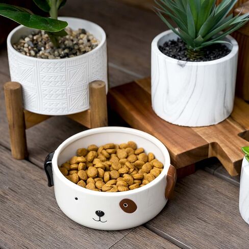 وعاء طعام للكلاب من السيراميك مقاس M | طبق سيراميك للكلاب | وعاء طعام للكلاب متوسط الحجم | وعاء طعام لطيف للكلاب in Kuwait