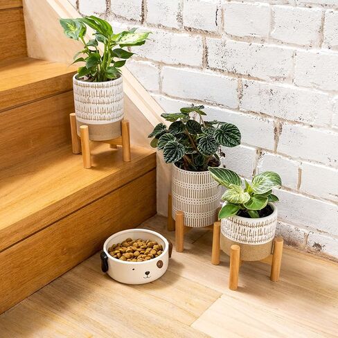 وعاء طعام للكلاب من السيراميك مقاس M | طبق سيراميك للكلاب | وعاء طعام للكلاب متوسط الحجم | وعاء طعام لطيف للكلاب in Kuwait