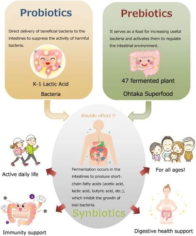 SynB: 100Billion cfu Probiotic and 47 Fermented Plants Japanese Prebiotic in one. Digestive Health-Immune Support. in Saudi Arabia