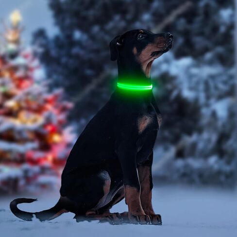 HIGO Light Up Dog Collar, USB Rechargeable LED Dog Collar, Safety Dog Collar Light for Your Dog Walking (Medium, Blue) in Kuwait