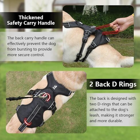 FEimaX Dog Harness لا سحب سترة مبطنة ناعمة للكلاب مع 3 مقاطع للمقود ومقبض تحكم سهل عاكس قابل للتعديل لا يخنق الحيوانات الأليفة لتدريب الكلاب المتوسطة والكبيرة على المشي (أحمر، صغير) in Kuwait