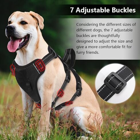 FEimaX Dog Harness لا سحب سترة مبطنة ناعمة للكلاب مع 3 مقاطع للمقود ومقبض تحكم سهل عاكس قابل للتعديل لا يخنق الحيوانات الأليفة لتدريب الكلاب المتوسطة والكبيرة على المشي (أحمر، صغير) in Kuwait