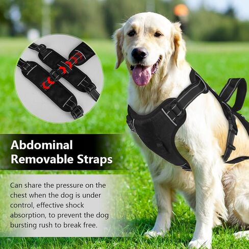FEimaX Dog Harness لا سحب سترة مبطنة ناعمة للكلاب مع 3 مقاطع للمقود ومقبض تحكم سهل عاكس قابل للتعديل لا يخنق الحيوانات الأليفة لتدريب الكلاب المتوسطة والكبيرة على المشي (أحمر، صغير) in Kuwait