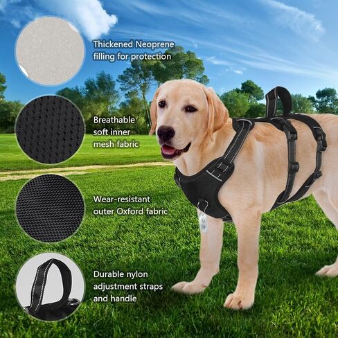 FEimaX Dog Harness لا سحب سترة مبطنة ناعمة للكلاب مع 3 مقاطع للمقود ومقبض تحكم سهل عاكس قابل للتعديل لا يخنق الحيوانات الأليفة لتدريب الكلاب المتوسطة والكبيرة على المشي (أحمر، صغير) in Kuwait