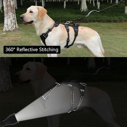 FEimaX Dog Harness لا سحب سترة مبطنة ناعمة للكلاب مع 3 مقاطع للمقود ومقبض تحكم سهل عاكس قابل للتعديل لا يخنق الحيوانات الأليفة لتدريب الكلاب المتوسطة والكبيرة على المشي (أحمر، صغير) in Kuwait
