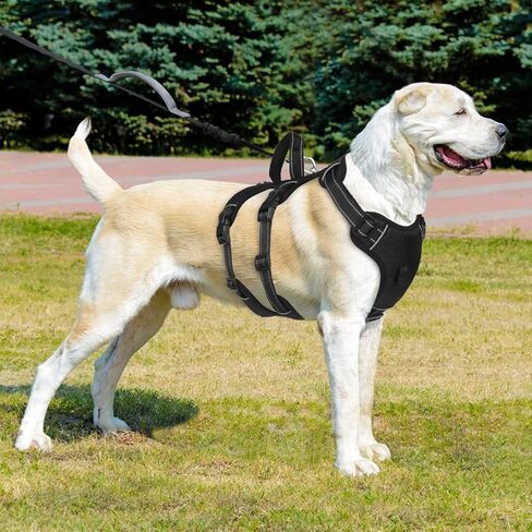 FEimaX Dog Harness لا سحب سترة مبطنة ناعمة للكلاب مع 3 مقاطع للمقود ومقبض تحكم سهل عاكس قابل للتعديل لا يخنق الحيوانات الأليفة لتدريب الكلاب المتوسطة والكبيرة على المشي (أحمر، صغير) in Kuwait