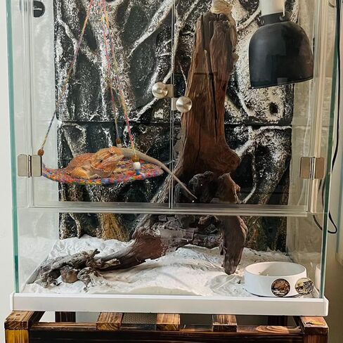 SETHOUS Reptile Hammock Swing Hanging Bed, Cute Bearded Dragon Swing Toy, Cotton Lizard Summer Bed for Reptile, Cage Accessories for Leopard Gecko Small Animal Birds Parrots Rats in Kuwait