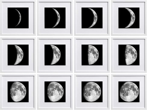 eletecpro 12x12 Picture Frame Set of 12, Display Pictures 8x8 with Mat or 12x12 without Mat, Gallery Wall Frame Set for Home Decoration, Picture Frames Collage Wall Decor, Black in Saudi Arabia