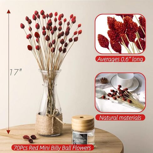 70 قطعة من كرات بيلي الصغيرة من الزهور المجففة الحمراء - 17 بوصة من كرات الصنوبر الطبيعية الحقيقية من زهرة الصنوبر المحفوظة لديكور الزفاف، وحفلات الزفاف، وترتيب الزهور، وديكور طاولة المنزل للحفلات in Kuwait