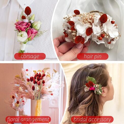 70 قطعة من كرات بيلي الصغيرة من الزهور المجففة الحمراء - 17 بوصة من كرات الصنوبر الطبيعية الحقيقية من زهرة الصنوبر المحفوظة لديكور الزفاف، وحفلات الزفاف، وترتيب الزهور، وديكور طاولة المنزل للحفلات in Kuwait