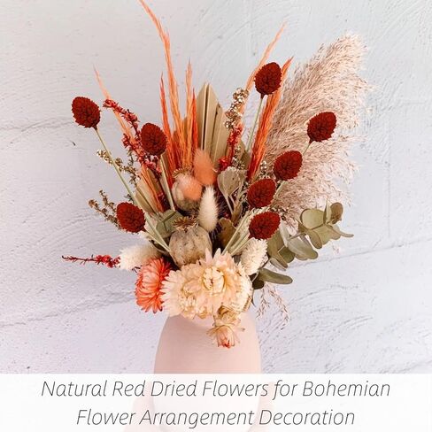 70 قطعة من كرات بيلي الصغيرة من الزهور المجففة الحمراء - 17 بوصة من كرات الصنوبر الطبيعية الحقيقية من زهرة الصنوبر المحفوظة لديكور الزفاف، وحفلات الزفاف، وترتيب الزهور، وديكور طاولة المنزل للحفلات in Kuwait