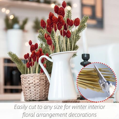 70 قطعة من كرات بيلي الصغيرة من الزهور المجففة الحمراء - 17 بوصة من كرات الصنوبر الطبيعية الحقيقية من زهرة الصنوبر المحفوظة لديكور الزفاف، وحفلات الزفاف، وترتيب الزهور، وديكور طاولة المنزل للحفلات in Kuwait