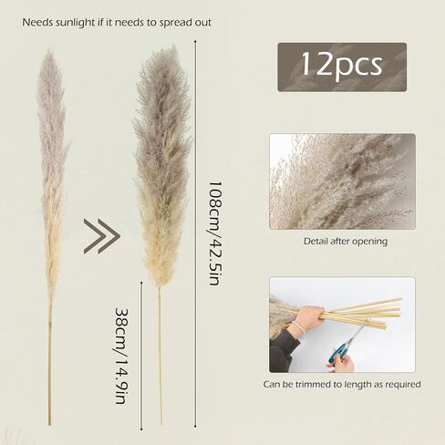 12 Pieces Dried Pampas Decoration 108 cm Grand Fluffy Grass Pampas Grey Natural Dried Grand Plants for Living Room, Home, Floor, Vase, Boho Decor in Saudi Arabia